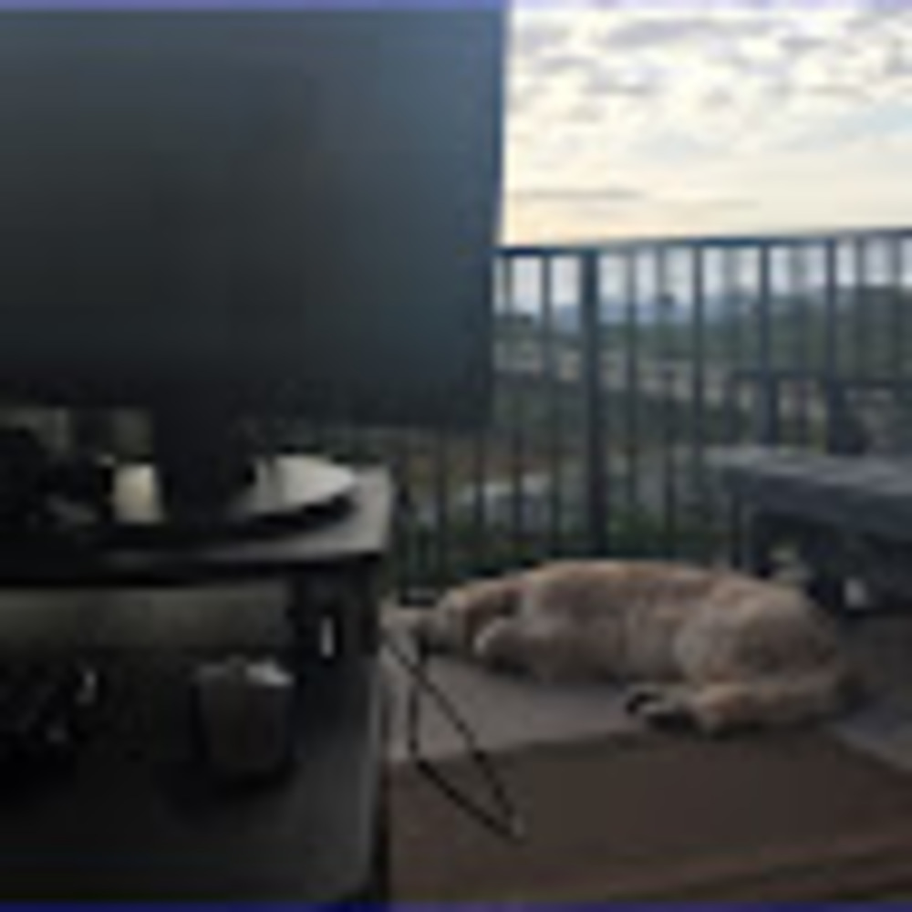 Meet your Posher, Susan